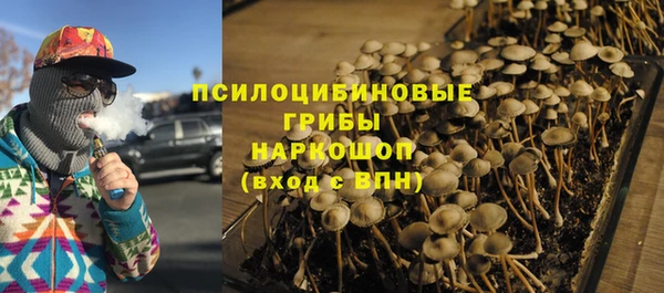 не бодяженный Алзамай